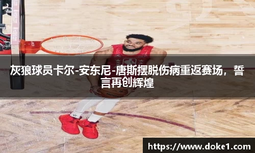 乐盈VI