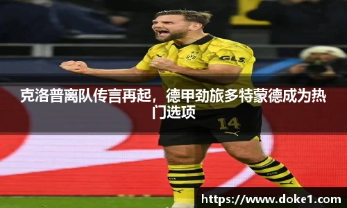 乐盈VI