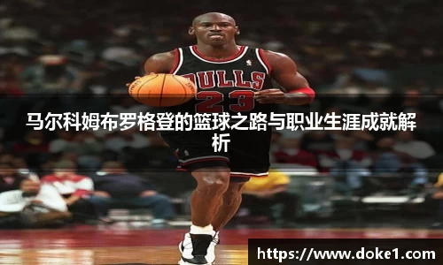 乐盈VI