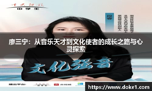 乐盈VI